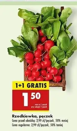 Biedronka Rzodkiewka oferta