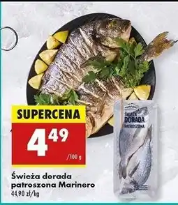 Biedronka Dorada patroszona świeża Marinero oferta