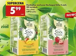 Biedronka Herbata ziołowa z truskawką Herbapol Zielnik Polski oferta