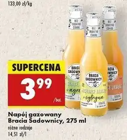 Biedronka Napój musujące jabłko z agrestem Bracia Sadownicy oferta