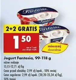 Biedronka Jogurt z płatkami w czekoladzie Danone Fantasia oferta