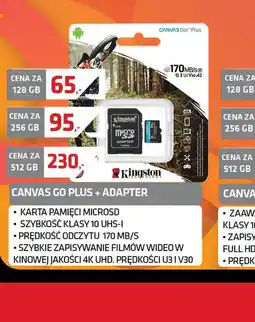 Alsen Karta pamięci Kingston Canvas Go Plus oferta