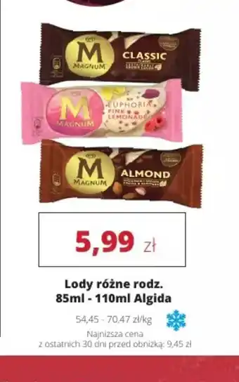 Torimpex Lody Magnum Algida oferta