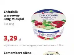 Torimpex Chłodnik warzywny Mlekpol oferta