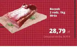 Torimpex Boczek oferta