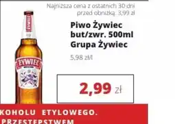 Torimpex Piwo Zywiec oferta