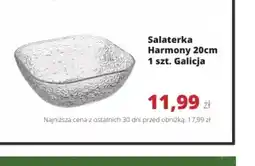 Torimpex Salaterka Harmony oferta