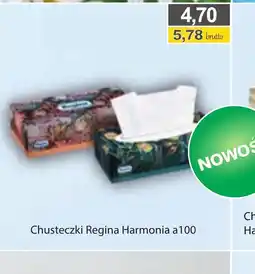 DUO-TES Chusteczki Regina Harmonia oferta