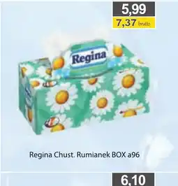 DUO-TES Chusteczki higieniczne Regina oferta