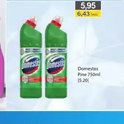 DUO-TES Domestos Pine oferta