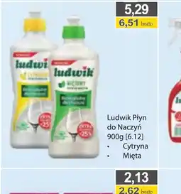 DUO-TES Ludwik Płyn do naczyń oferta