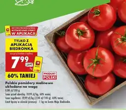 Biedronka Polskie pomidory malinowe układane na wage oferta