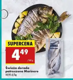 Biedronka Świeża dorada patroszona Marinero oferta