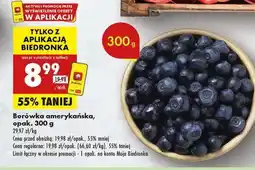 Biedronka Borówka amerykańska opak 300 g oferta