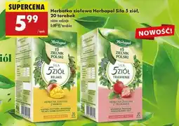 Biedronka Herbatka ziołowa Herbapol Siła 5 ziół, 20 torebek oferta