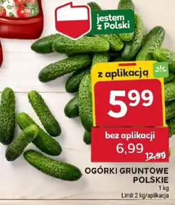 Stokrotka Ogórki gruntowe polskie oferta
