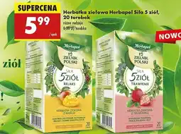 Biedronka Herbata ziołowa z mango Herbapol zielnik polski oferta