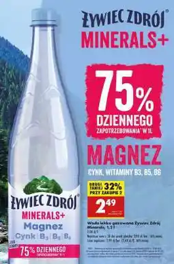 Biedronka Żywiec Zdrój MINERALS+ Magnez oferta