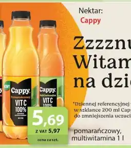 Eurocash Nektar: Cappy oferta