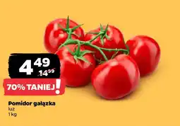 Netto Pomidor gałązka oferta