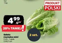Netto Sałata rzymska mini oferta