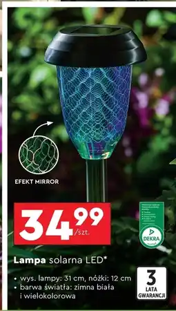 Biedronka Lampa solarna Dekra oferta
