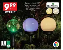 Biedronka Lampa solarna Gardenic oferta