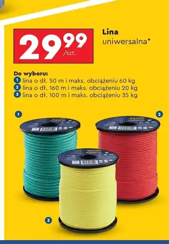 Biedronka Lina uniwersalna oferta