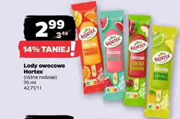 Netto Lody owocowe Hortex oferta