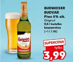 Kaufland BUDWEISER BUDVAR Piwo oferta