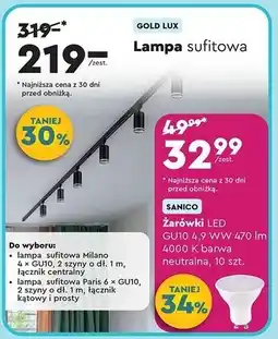 Biedronka Lampa sufitowa oferta