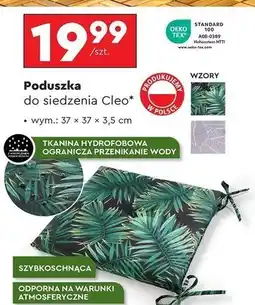 Biedronka Poduszka cleo 37 x 3.5 cm oferta