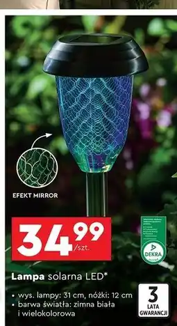 Biedronka Lampa solarna 31 cm oferta