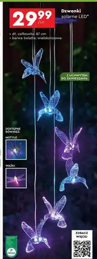 Biedronka Dzwonki solarne led oferta