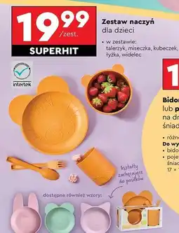 Biedronka Zestaw naczyń plastikowych Smukee oferta