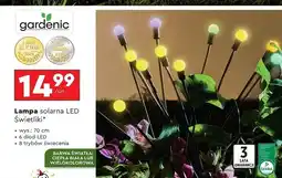 Biedronka Lampa solarna led świetliki Gardenic oferta