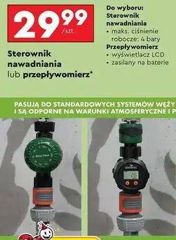 Biedronka Przepływomierz Gardenic oferta