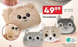 Biedronka Koc-poduszka 120 x 150 cm Smukee Kids oferta