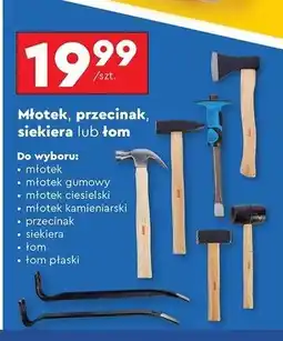 Biedronka Łom płaski Niteo Tools oferta