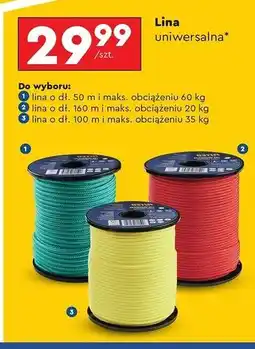Biedronka Lina uniwersalna 100 m Niteo Tools oferta