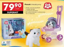 Biedronka Pluszak interaktywny oferta