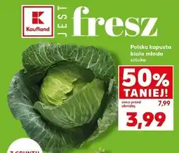 Kaufland Kapusta biała oferta