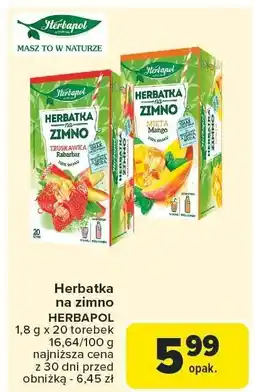 Carrefour Herbatka na zimno HERBAPOL 1,8 g x 20 torebek oferta