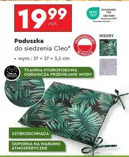 Biedronka Poduszka do siedzenia Cleo oferta