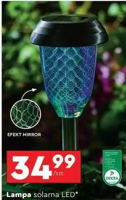 Biedronka Lampa solarna LED oferta