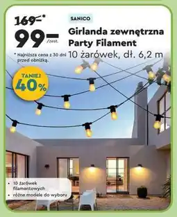Biedronka Girlanda zewnętrzna Party Filament oferta