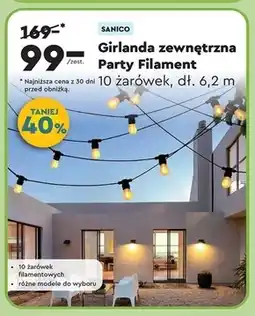 Biedronka Girlanda Sanico oferta