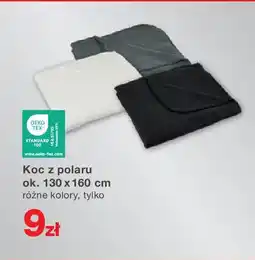 KiK Koc z polaru oferta