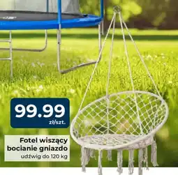 Mrówka Fotel wiszący bocianie gniazdo oferta