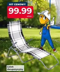 Mrówka Leżak dwupozycyjny oferta